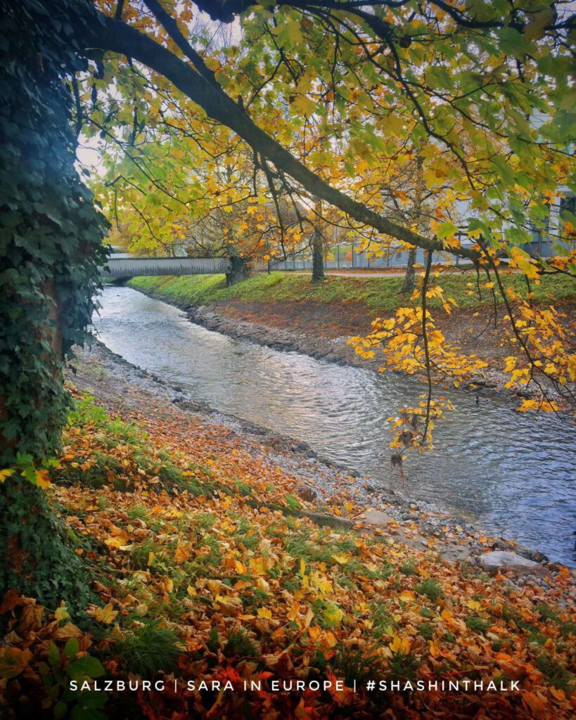 Autumn river, Salzburg